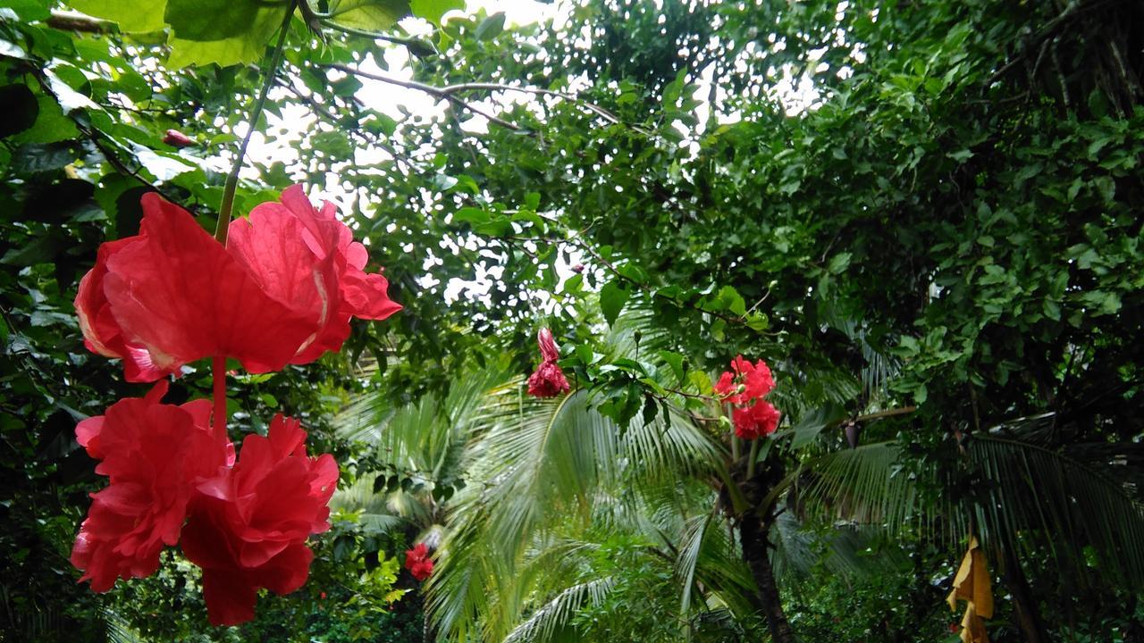Ecopacific Lodge Santa Teresa Playa Bejuco (Guanacaste) エクステリア 写真